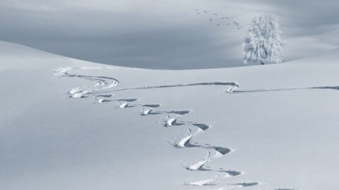 trail in Verbier resort
