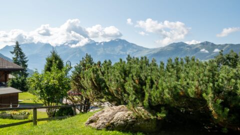 Chalet Caroline garden views